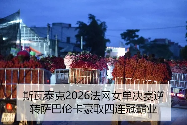 si-wa-tai-ke-fa-wang-nv-dan-jue-sai-ni-zhuan-sa-ba-lun-ka-hao-qu-si-lian-guan-ba-ye-2-861.jpg