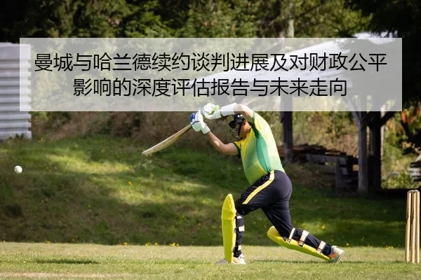 man-cheng-yu-ha-lan-de-xu-yue-tan-pan-jin-zhan-ji-dui-cai-zheng-gong-ping-ying-xiang-de-shen-du-ping-gu-bao-gao-yu-wei-2-331.jpg
